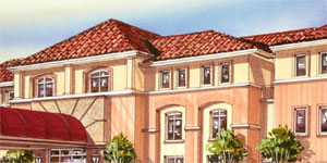 Project Name